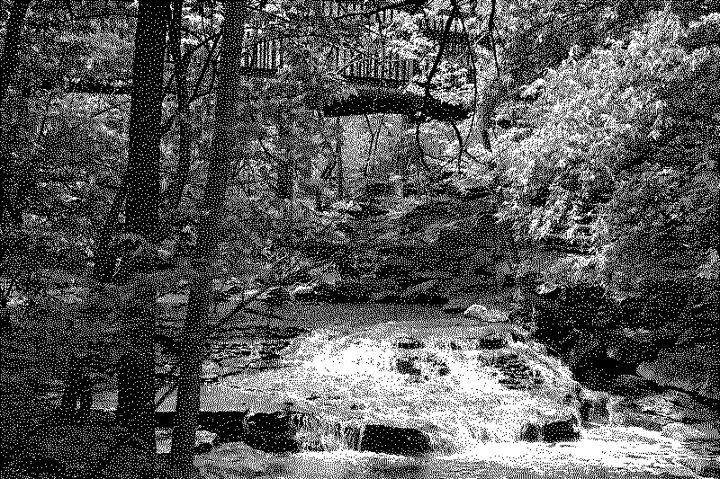 dsc06343_web