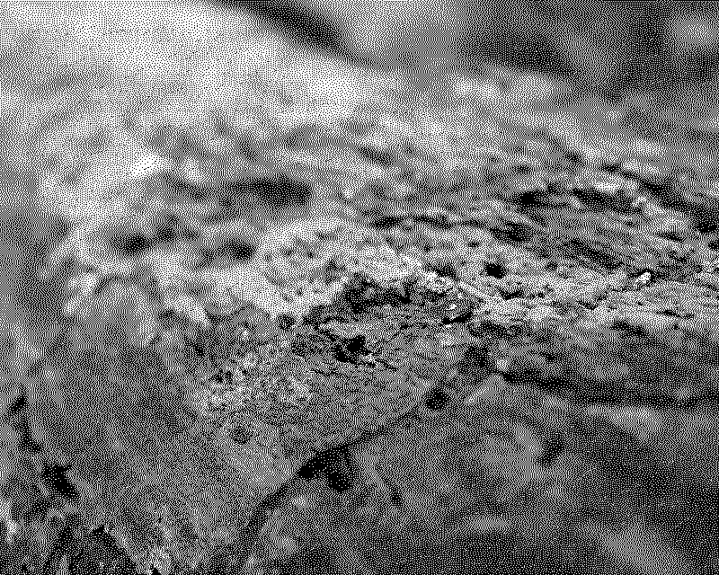 dsc06372_web