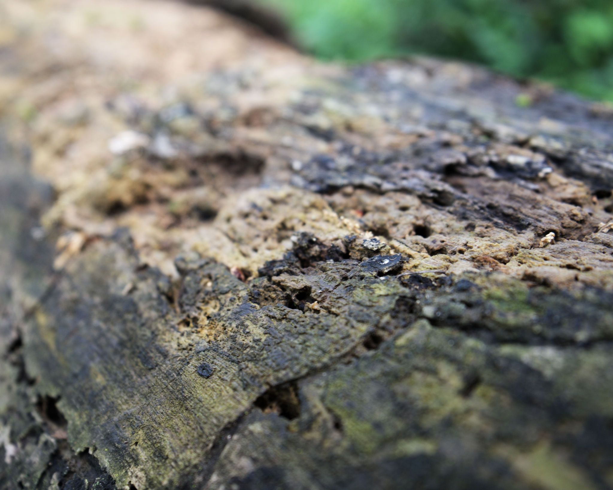 dsc06372_web