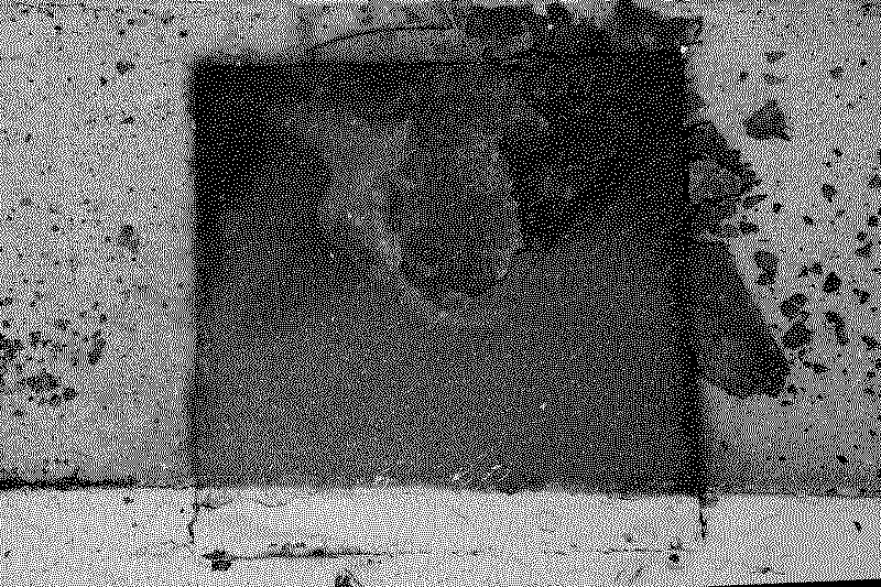dsc06376_web
