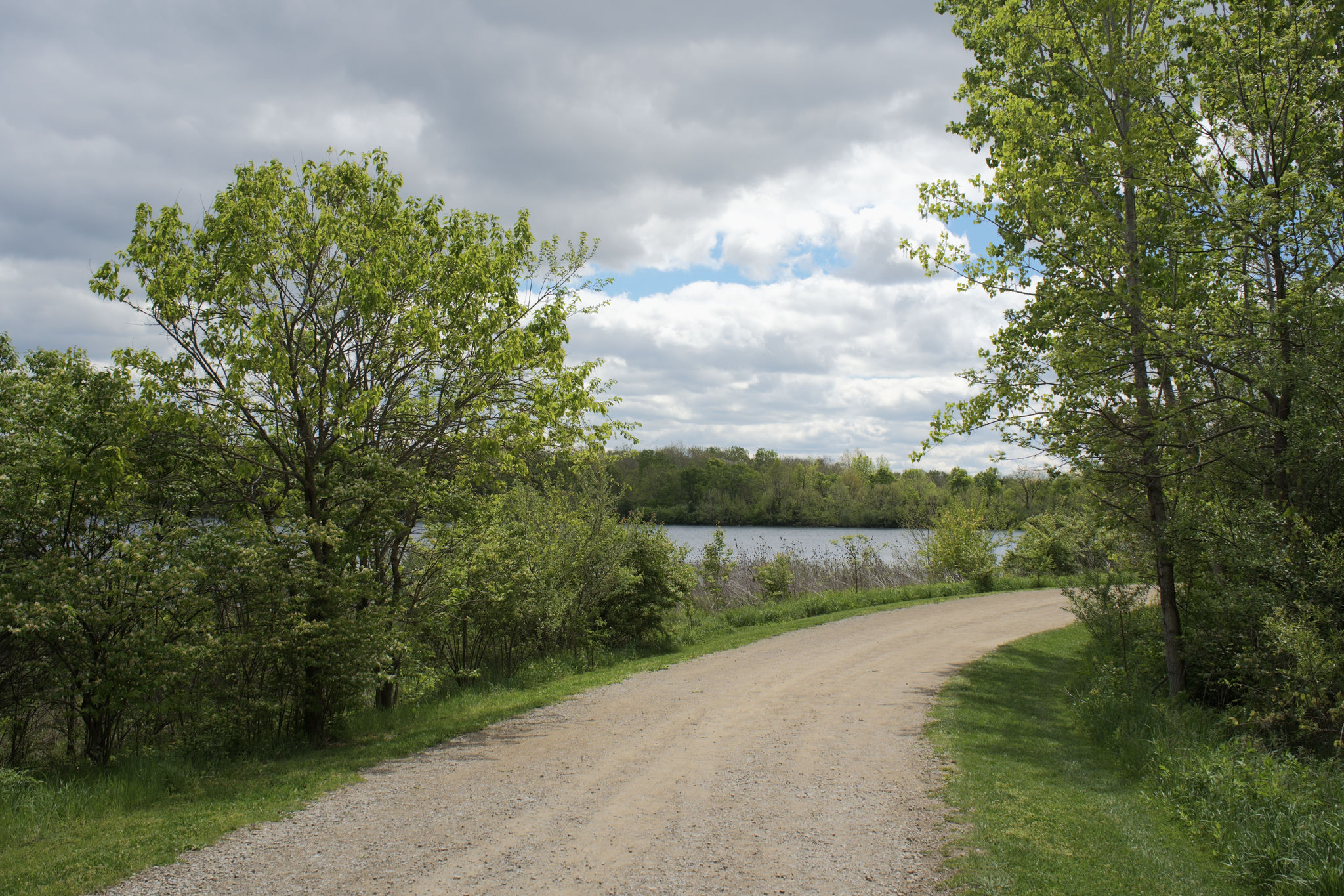 dsc06382_web