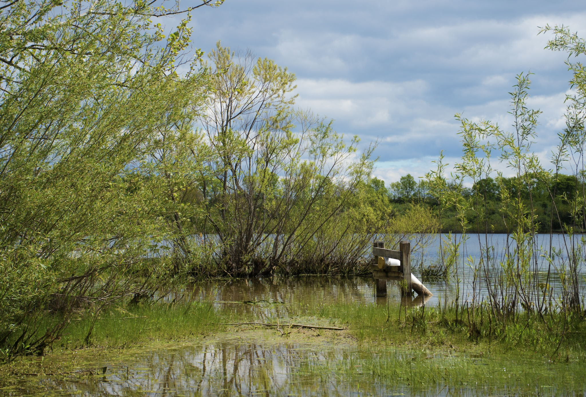 dsc06385_web