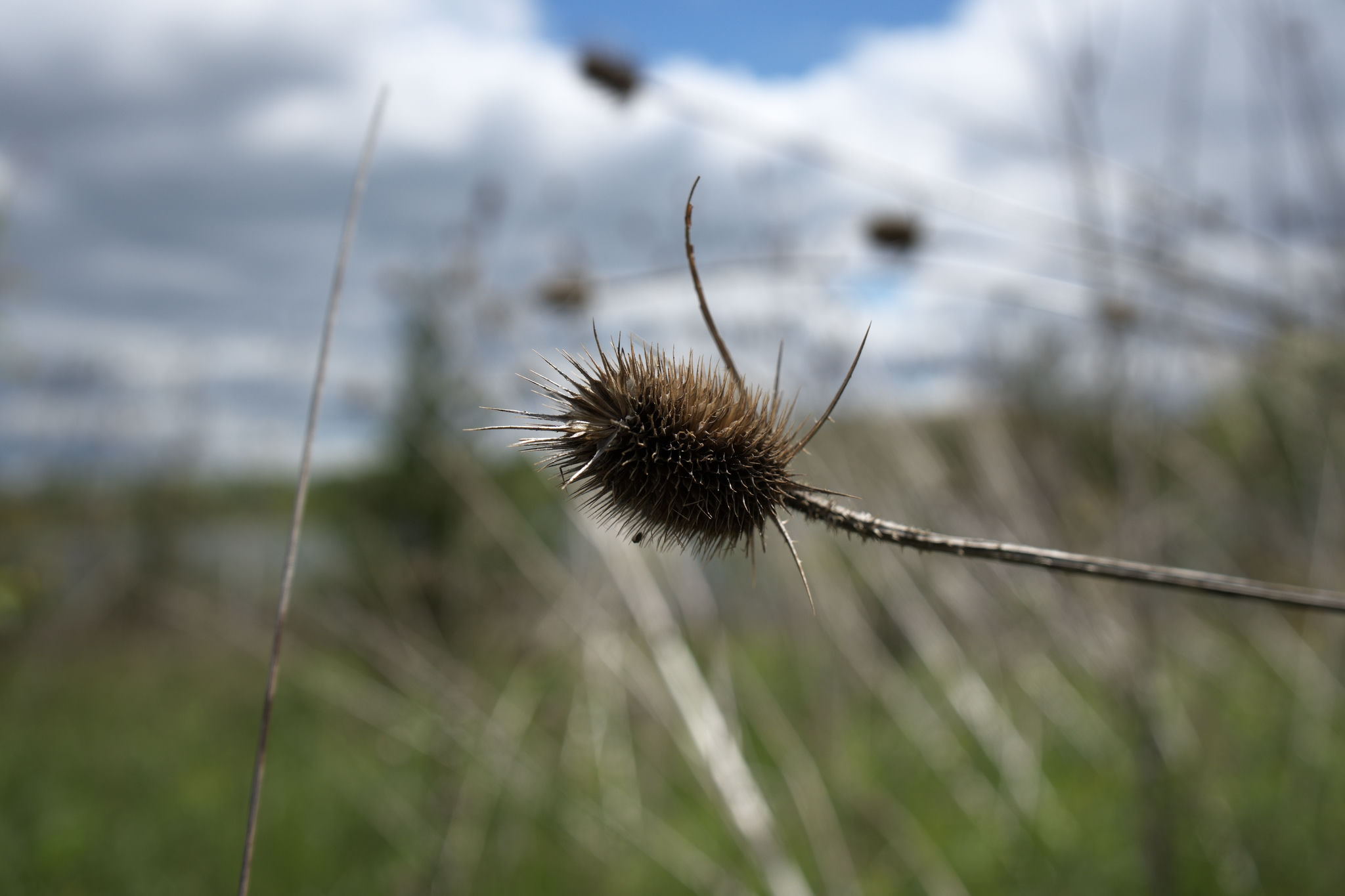 dsc06389_web