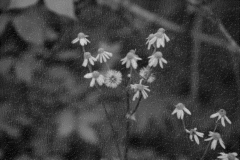 dsc06396_web