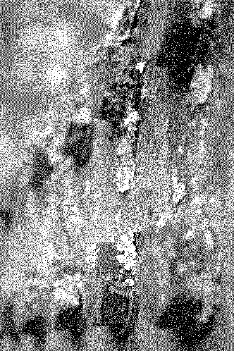 dsc06420_web