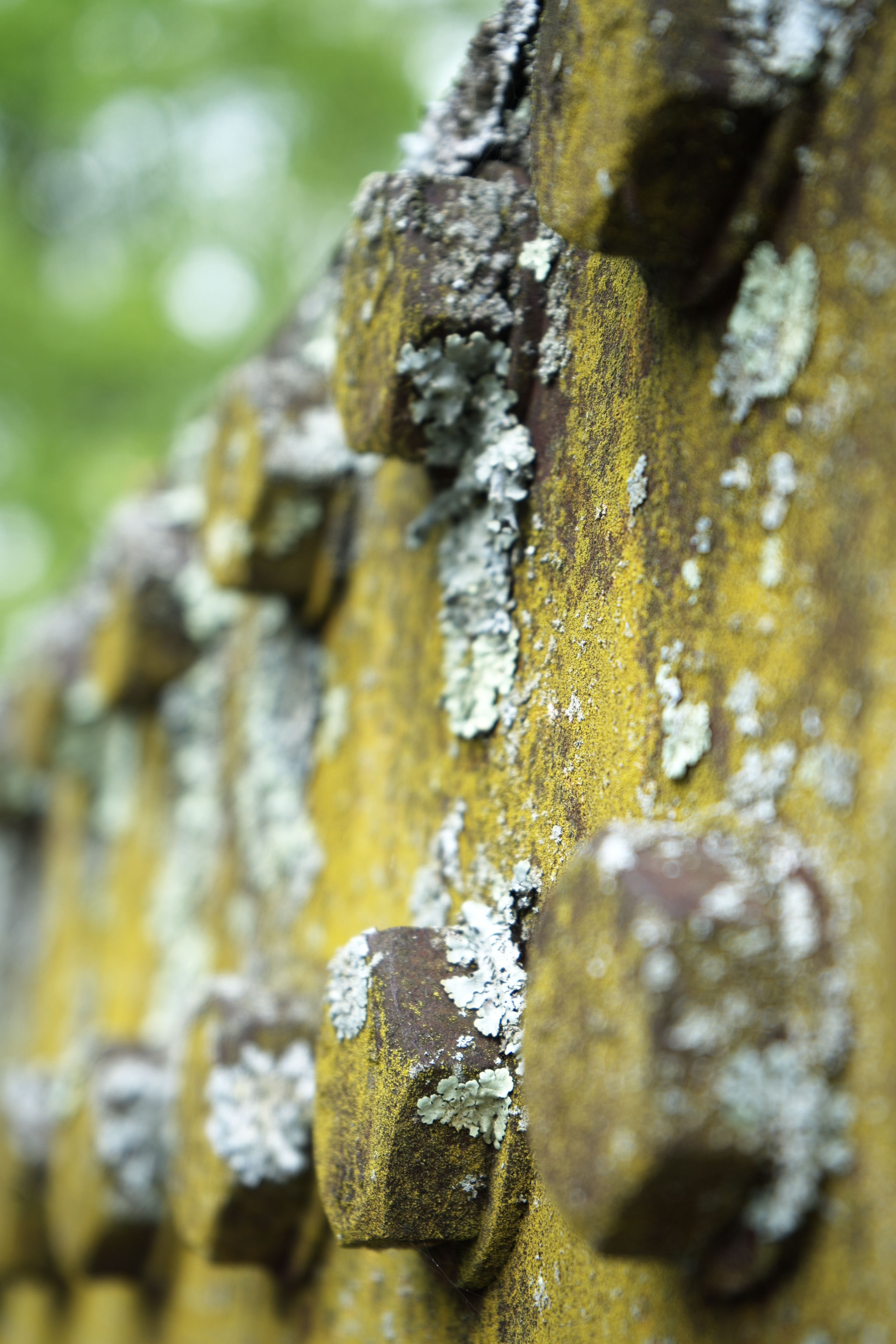 dsc06420_web