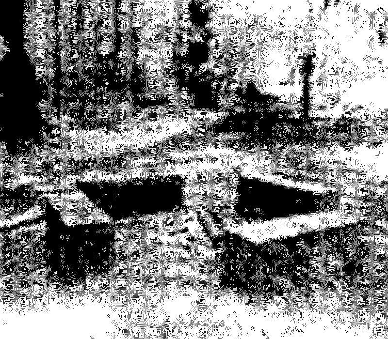 Benches in a forest