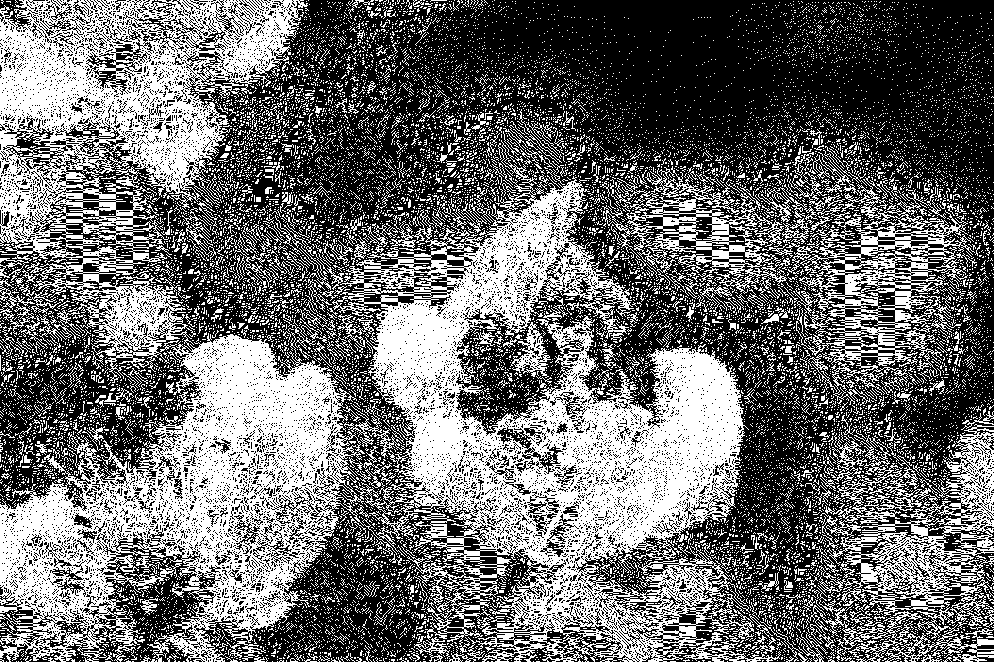 Bee getting pollen from a flower