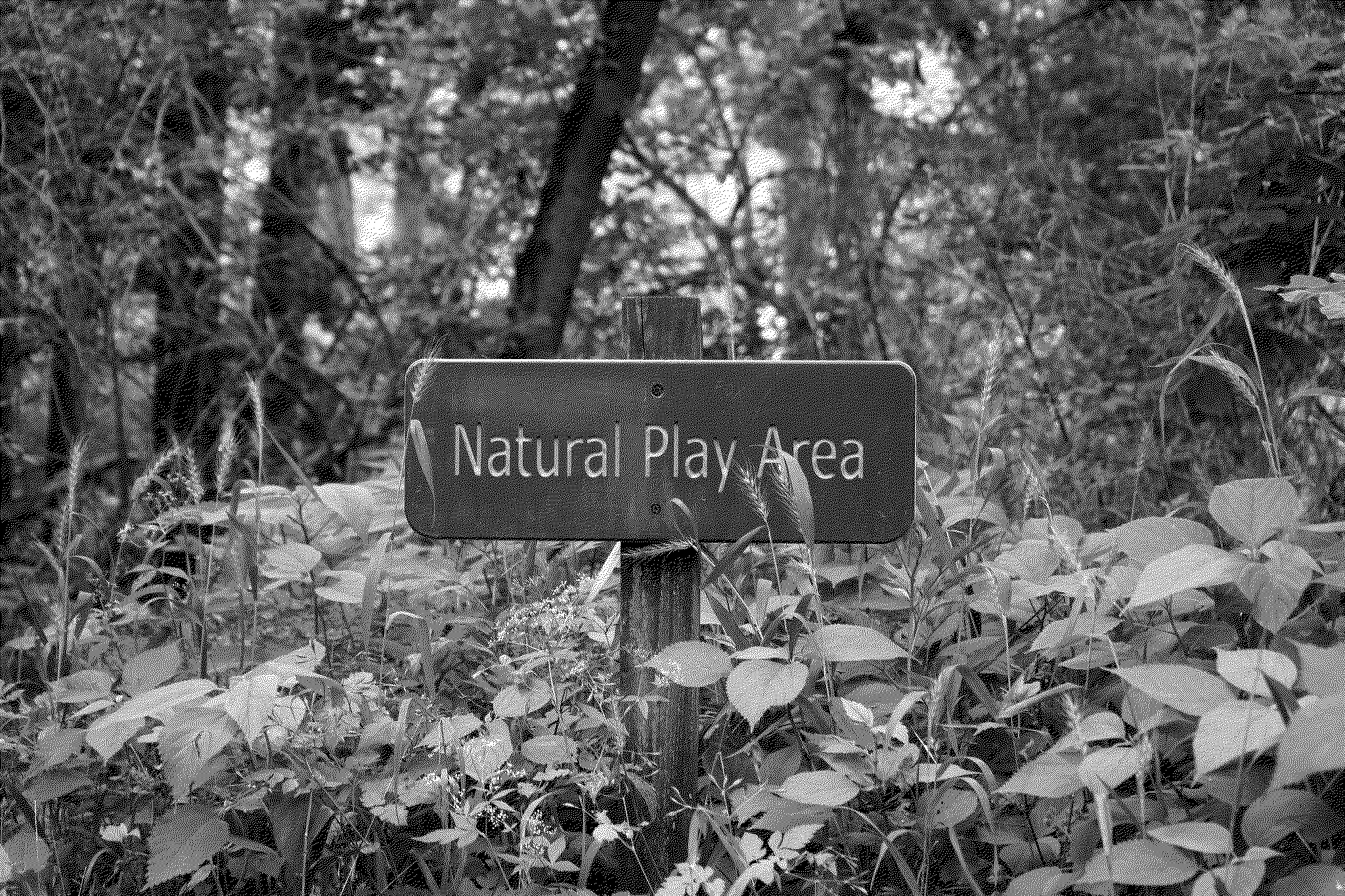 A sign surrounded by plants that says 'Natural Play Area'.