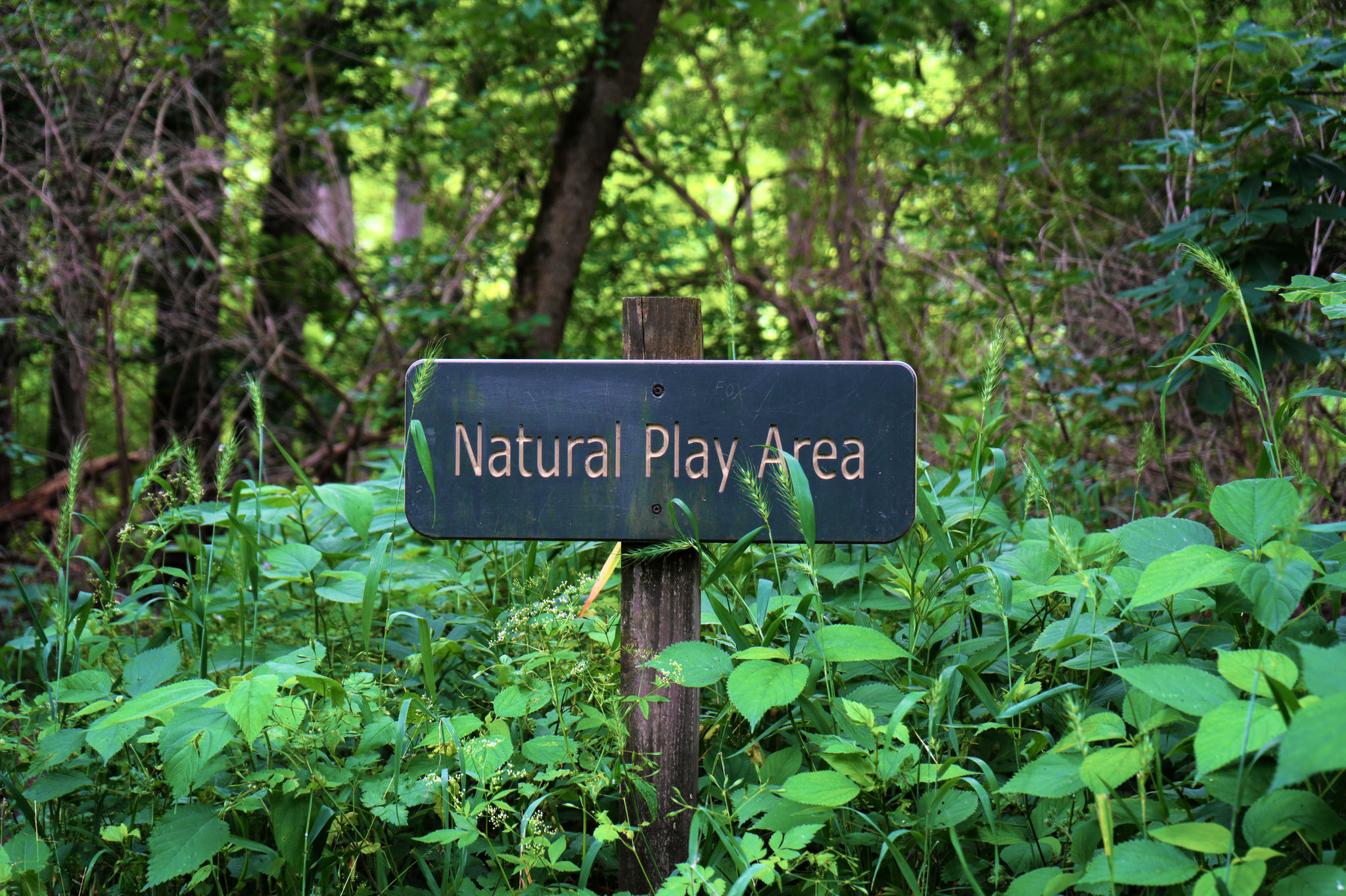 A sign surrounded by plants that says 'Natural Play Area'.