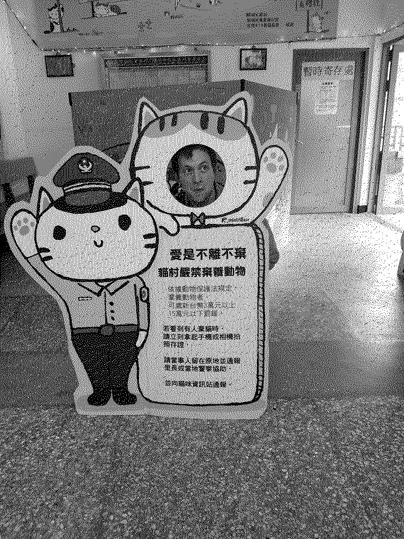 Cat village