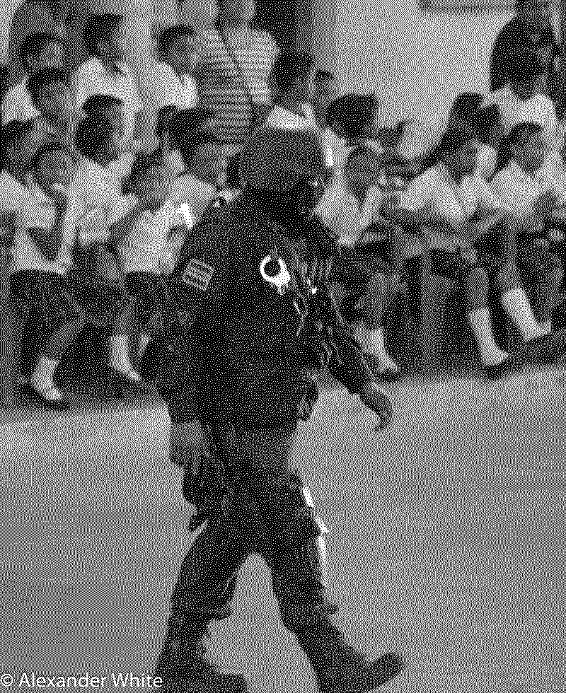 coolcop
