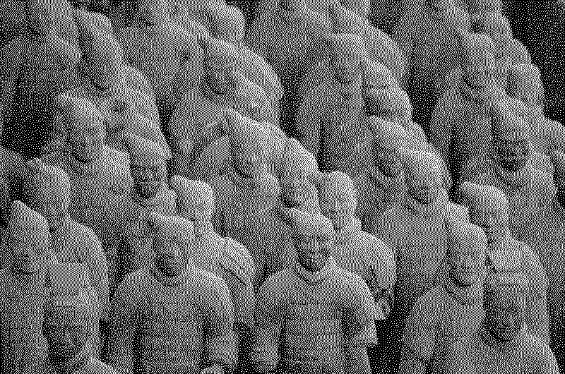 stonedudes